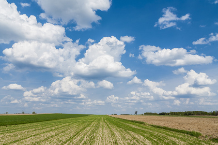 农业景观，云彩在地平线上
