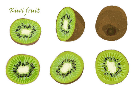 手绘的奇异果,单身,集去皮和切片水果.写实画,孤立在白色背景照片