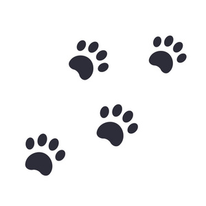 熊掌脚印矢量图照片