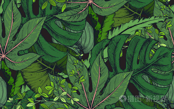 矢量无缝模式与成分的手绘制热带植物插画-正版商用图片0d2393-摄图新