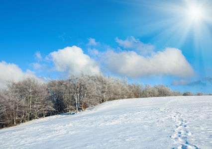 第一个冬季雪和山山毛榉林