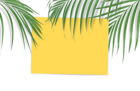 热带棕榈叶用空纸为您的设计对白色 b