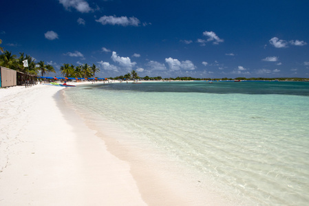 东方湾猫头鹰图片