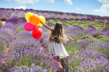 薰衣草的女孩图片