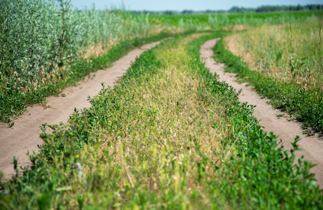 农村道路上阳光灿烂的日子