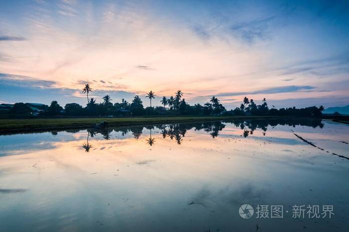 在大山脚槟城水田反射日出