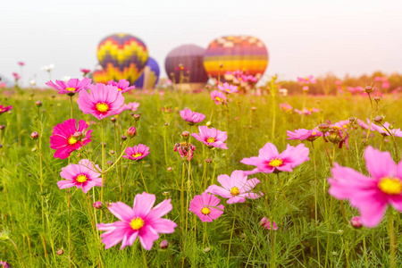 关宇花场组热空气气球背景下，泰国清莱省