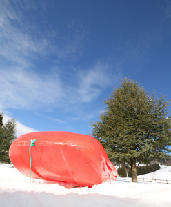 reb 鲍勃在冬天在雪地里玩耍