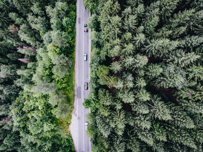 在森林鸟瞰道路上的汽车