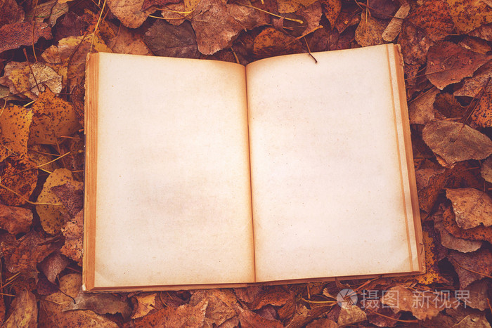 空白页的复古书照片-正版商用图片0d2tue-摄图新视界