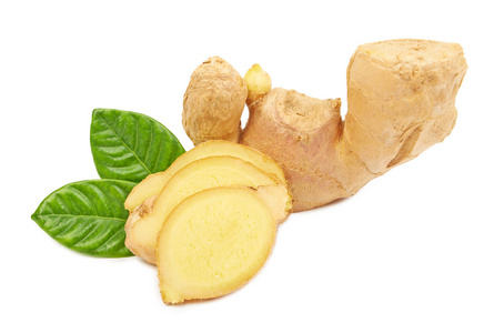 本草纲目生姜图片-本草纲目生姜素材-本草纲目生姜插画-摄图新视界