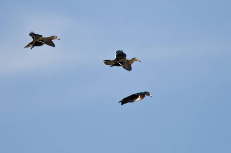 湛蓝的天空中飞行的三个木头鸭子