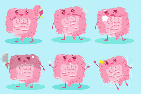 可爱的卡通肠照片