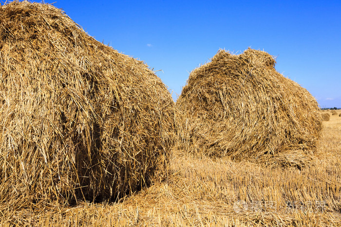 秸秆还田的堆栈