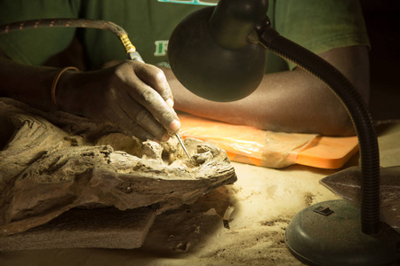 非洲古生物学家在工作图片