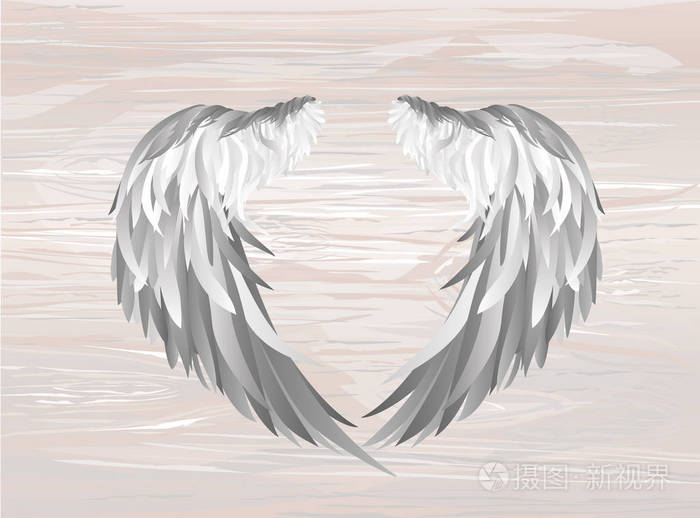 翅膀.在木质背景上的矢量插图.黑白相间