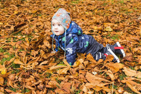 婴孩在森林里爬行通过秋天叶子