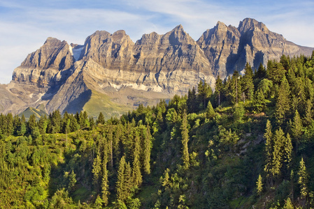 在瑞士阿尔卑斯山的夏天风景