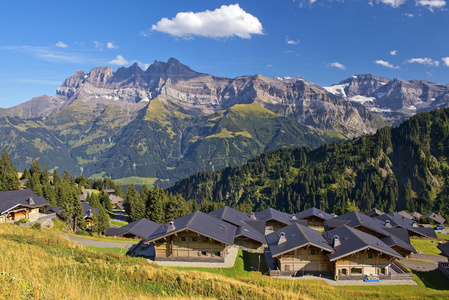 在瑞士阿尔卑斯山的夏天风景