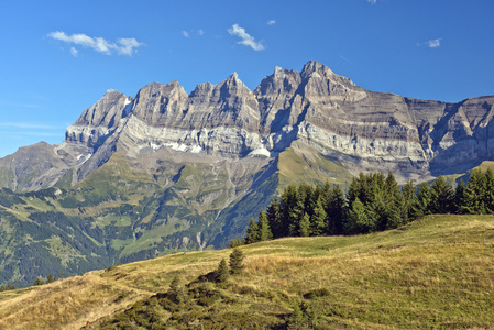 在瑞士阿尔卑斯山的夏天风景