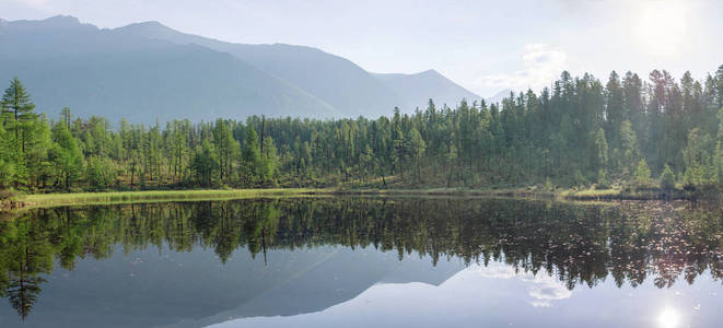 山区河流之间的森林和岩石背景山峰上的美丽景色