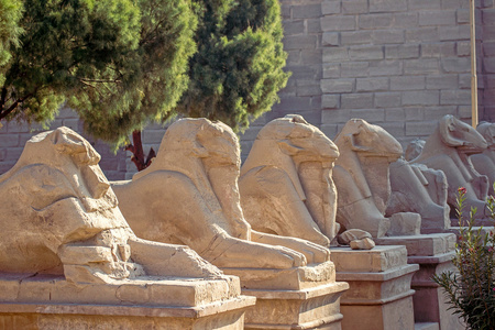 狮身人面像。卡纳克神庙，埃及卢克索，底比斯