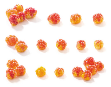 各种野生 cloudberries照片