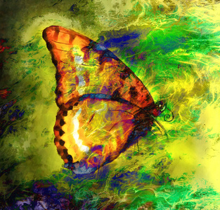 彩色蝴蝶混合中等抽象颜色插图