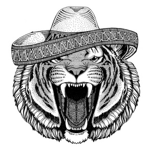 野生老虎野生动物 戴着草帽墨西哥福特嘉年华墨西哥方图狂野的西部