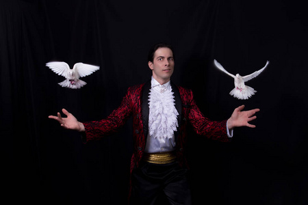 鸽子魔术图片