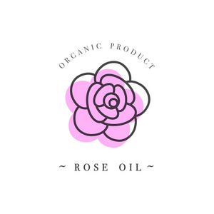向量集的包装设计模板和线性风格美容和化妆品油摩洛哥坚果油 玫瑰 杏仁 茶叶树中的标志