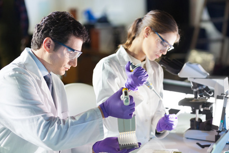 下研究细胞培养的生命科学研究员红生命周期医学向量图解与生物解剖方