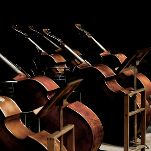 交响乐大厅图片