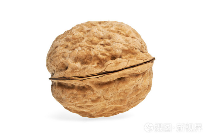 在白色背景上孤立的单个核桃
