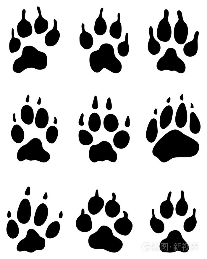 狼爪插画 正版商用图片0d4b5k 摄图新视界