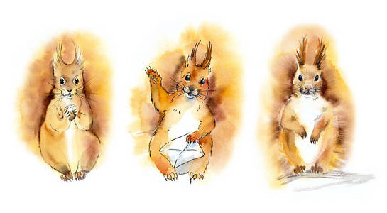 插画松鼠图片