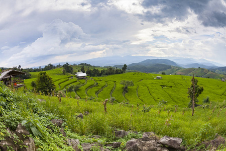 水稻的绿色梯田在 Pa Pong 丙 湄针 泰国清迈省