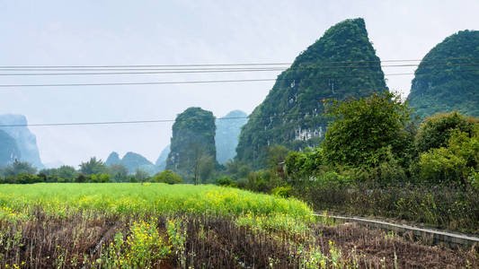 在阳朔岩溶山区附近的种植园