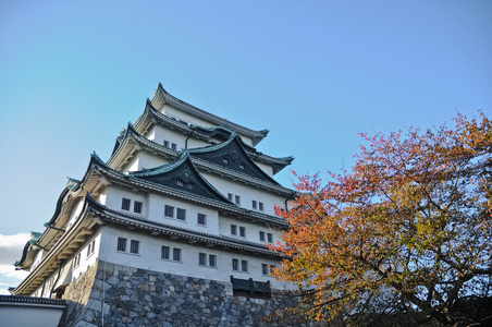 秋季关西日本大阪的城堡和枫树古树