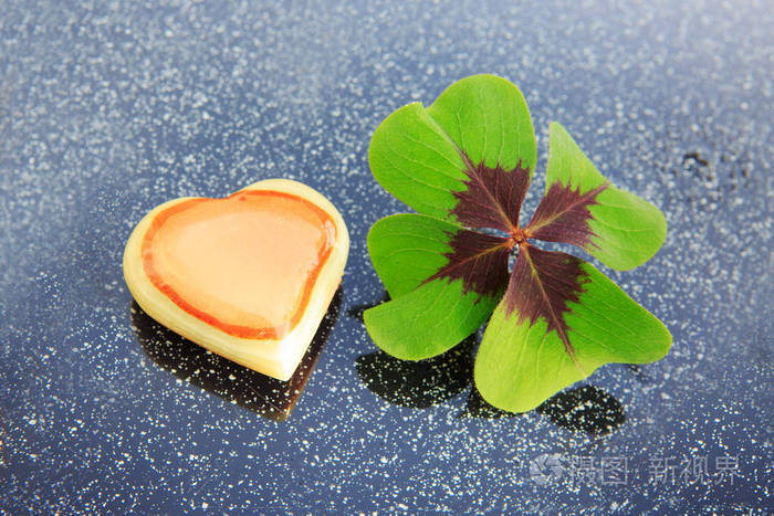 幸运新鲜绿色四片叶子的三叶草灰色背景照片-正版商用图片0d4u1o-摄图