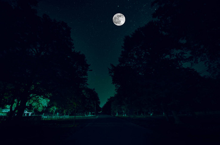 通过对月圆夜森林的山路。风景秀丽的夜景观的暗蓝的天空，月亮。阿塞拜疆。长快门照片