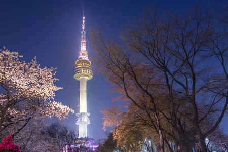 首尔首尔塔夜景与樱桃 bl