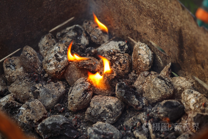 煤球准备烧烤