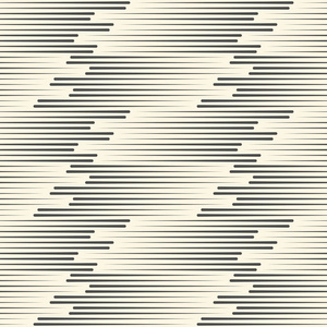 无缝的水平线条图案.矢量黑色和白色背景照片