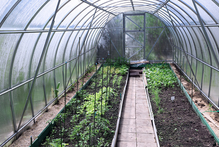 蔬菜种植大棚图片大全