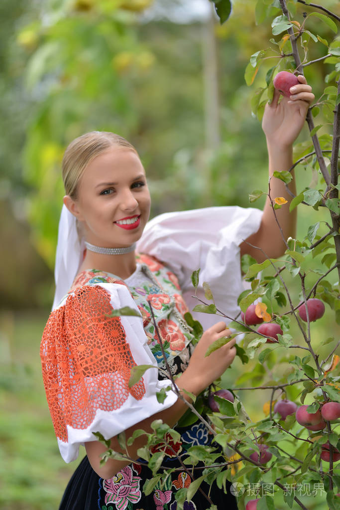 美丽的年轻女子在果园采摘成熟的有机苹果
