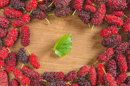 红桑椹摄影图