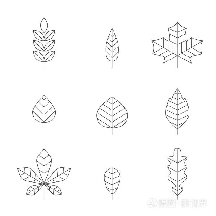 扁线设计秋天的树叶.简约矢量不同的集