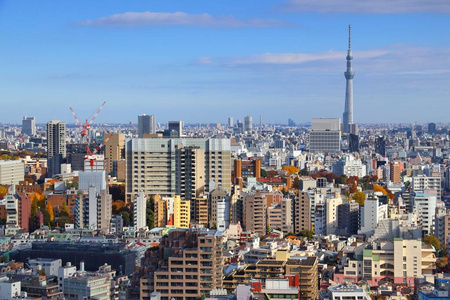 东京的城市天际线