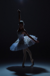 在芭蕾舞途繁星背景上的芭蕾舞女演员的肖像